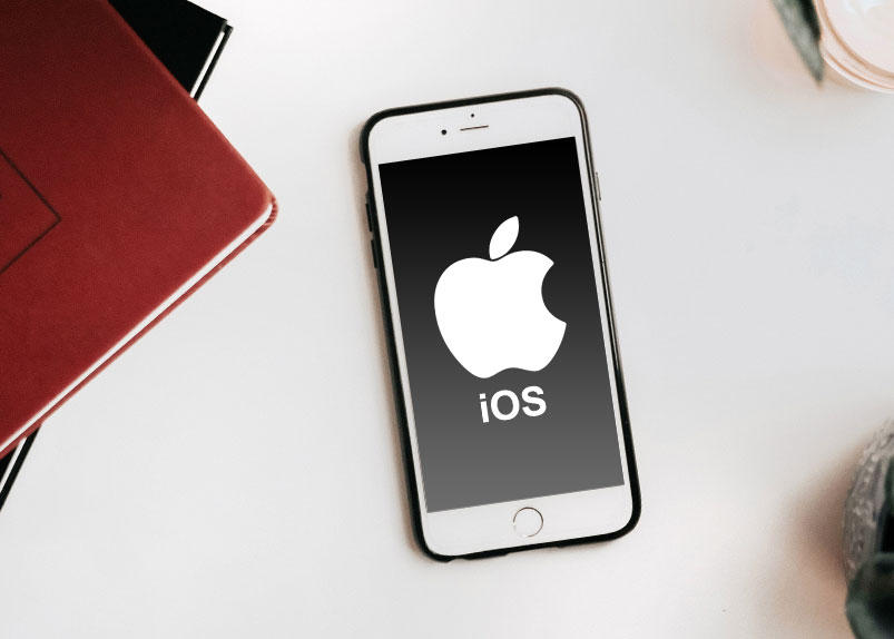 ios app development * OctaShop ios app development